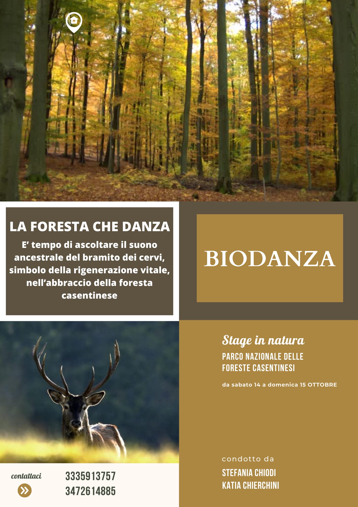 La foresta che danza