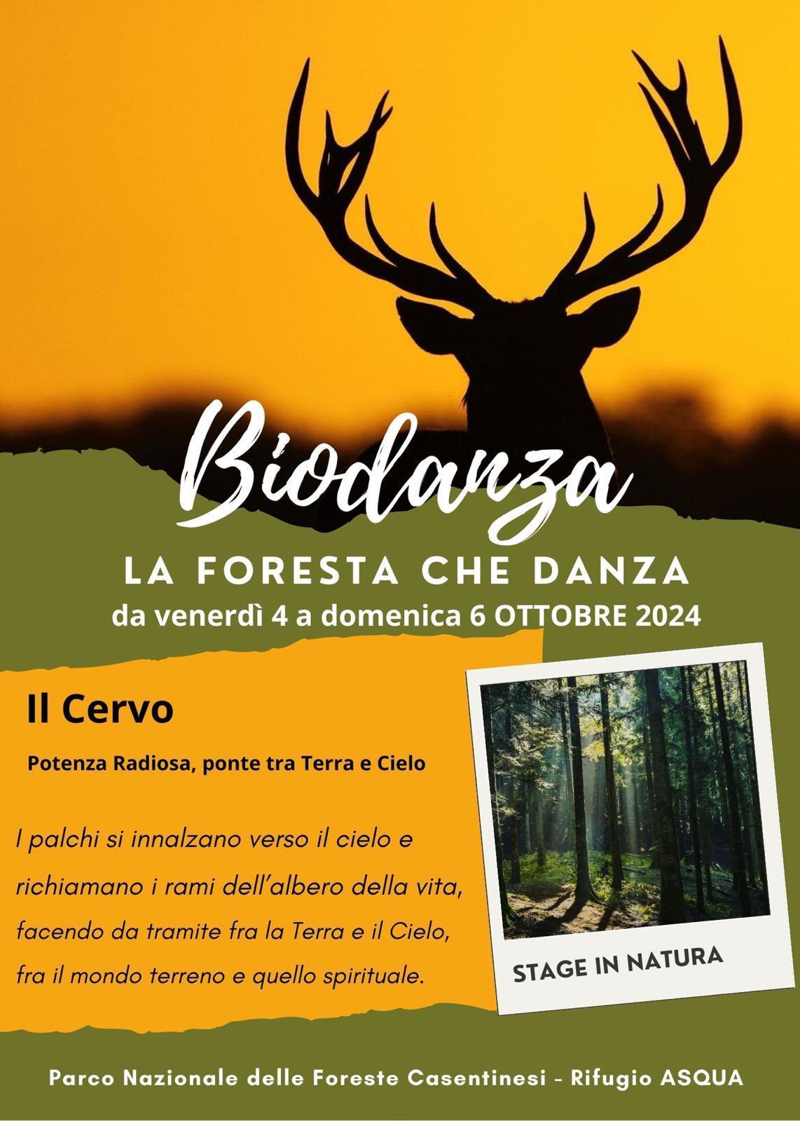 Biodanza la foresta che danza